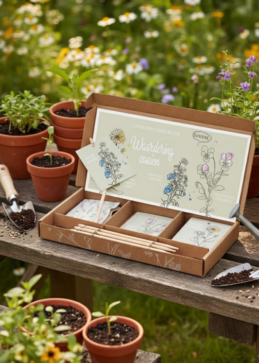 Brievenbuscadeau waardering zaaien