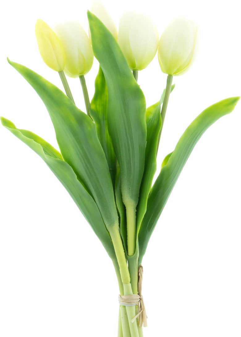 Kunsttulpen wit love and flowres