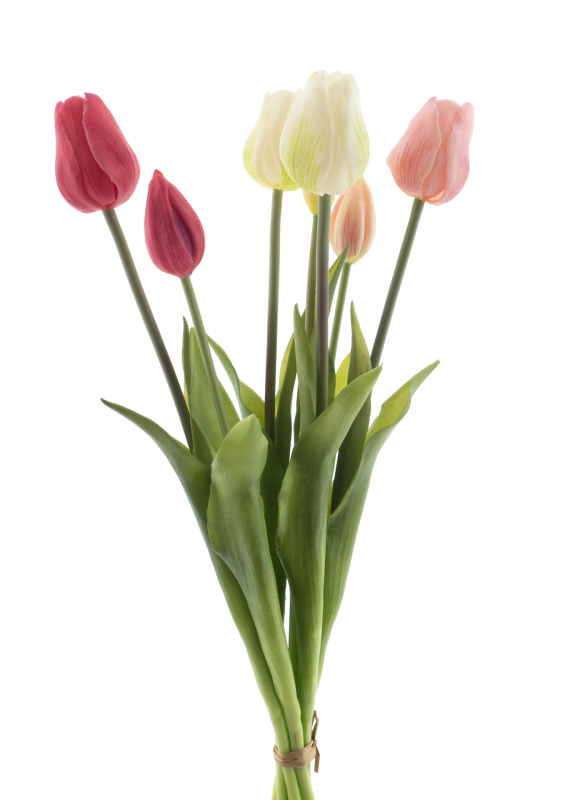 Lange kunsttulpen in roze en wit