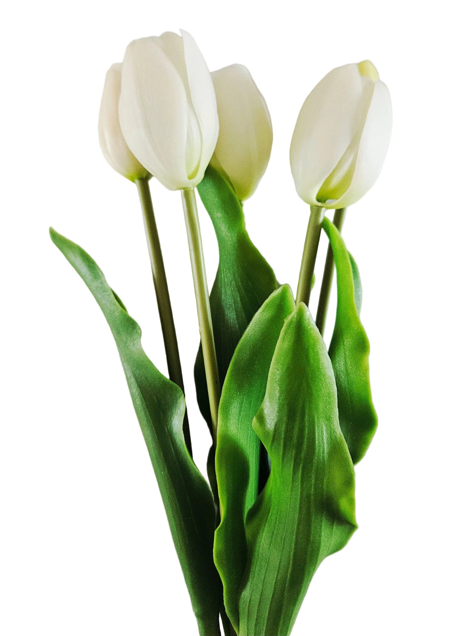Witte zijden luxe tulpen