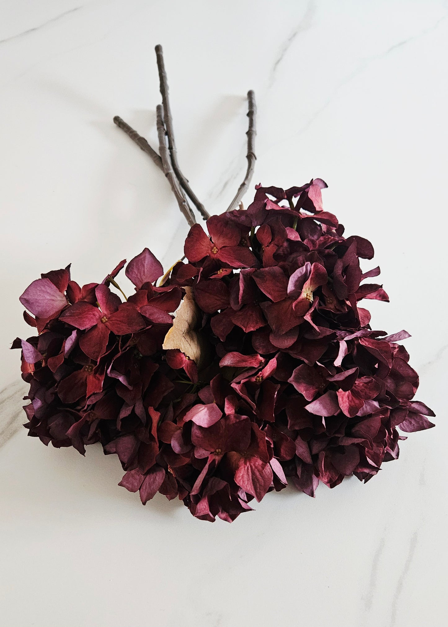 Zijden hortensias burgundy