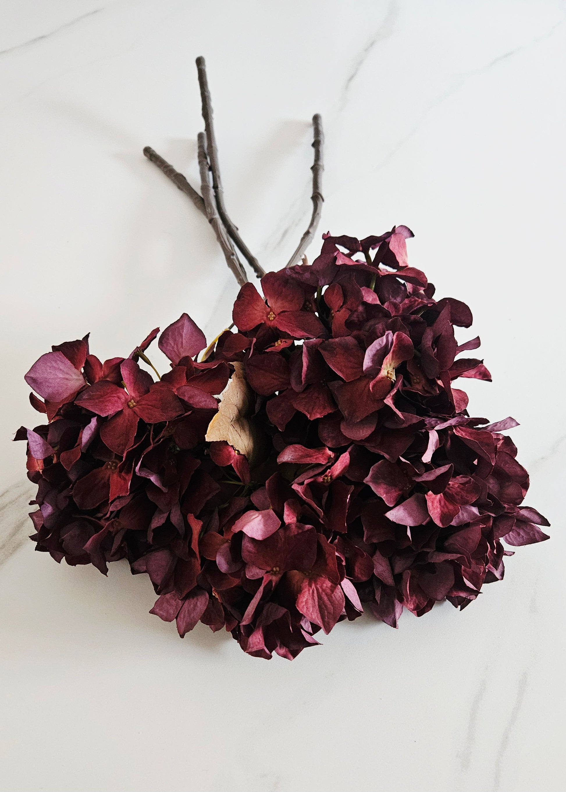 Zijden hortensias burgundy