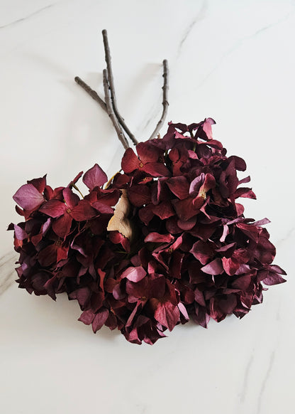 Zijden hortensias burgundy